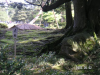 s_pict0157_thumb.png
